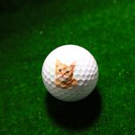 Balle de Golf Personnalisée avec Photo Imprimée Cadeau Anniversaire Fête des Pères pour Golfeur