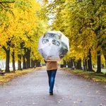 Printed Photo Umbrella