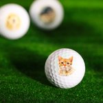 Balle de Golf Personnalisée avec Photo Imprimée Cadeau Anniversaire Fête des Pères pour Golfeur