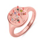 Stamboom zegelring met geboortestenen