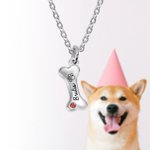 Personalizado Nombre y Pata 1-8 Dog Bone Collar con piedra de nacimiento