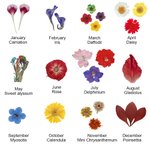 Women Dried Pressed Birth Month Flower Necklace with Back Engraving | Callie