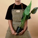 Canvas Workshop Aprons with Pockets & Leather Strap