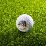 Balle de Golf Personnalisée avec Photo Imprimée Cadeau Anniversaire Fête des Pères pour Golfeur