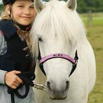 Coprinaso per cavallo personalizzato in tessuto morbido multicolore con testo ricamato accessori equestri regalo di compleanno per amanti dei cavalli