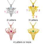 Medical Graduation Caduceus RN Nurse Pin with Birthstone