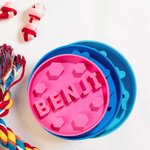 Personalized Fun Slow Feeder Dog Bowl with 3D Printing Name Multiple Size for Pet Lover