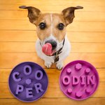 Personalized Fun Slow Feeder Dog Bowl with 3D Printing Name Multiple Size for Pet Lover
