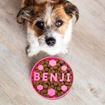 Personalized Fun Slow Feeder Dog Bowl with 3D Printing Name Multiple Size for Pet Lover