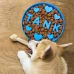 Bol Gamelle Chien avec Nom en Impression 3D Personnalisé Ralentisseur Pour Alimentation Lente