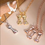 Personalizado Nombre y Pata 1-8 Dog Bone Collar con piedra de nacimiento