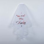 Personalized Bride Veil