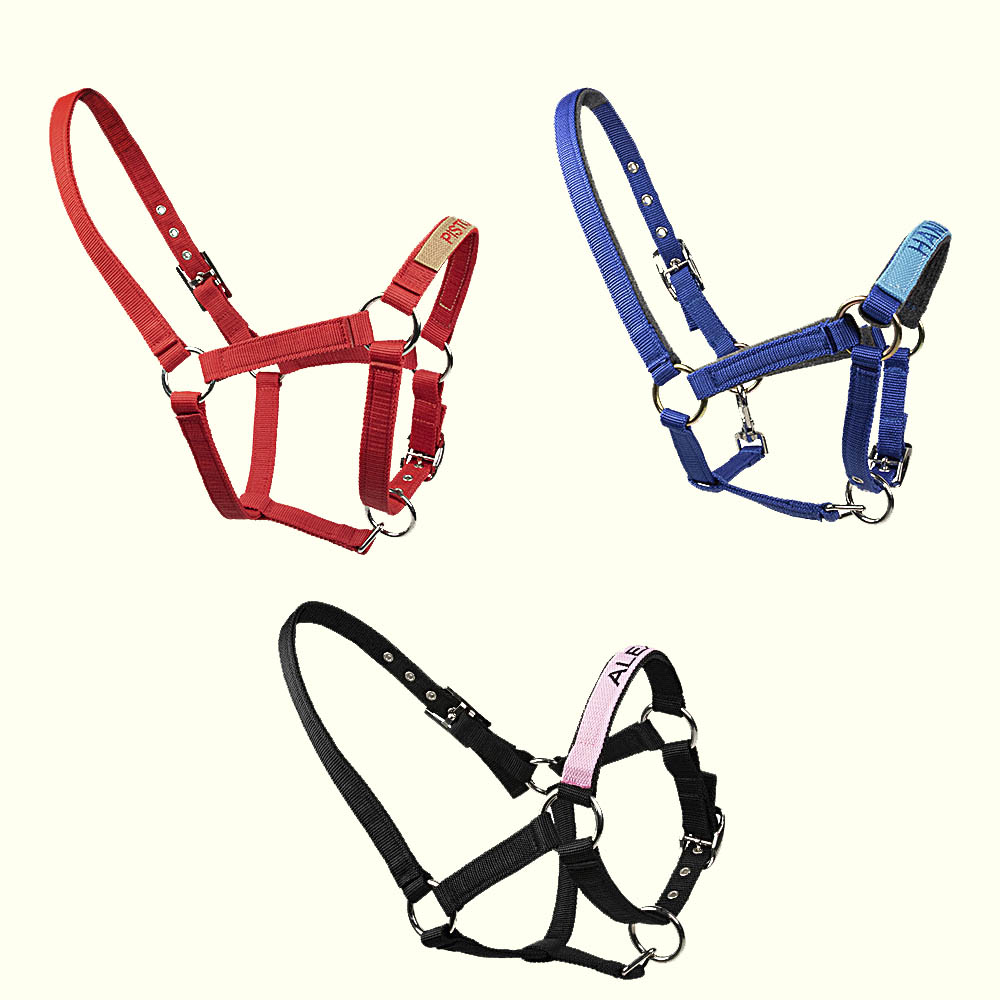 Personalized Embroidered Horse Halter