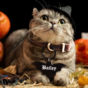 Henkilökohtainen akryyli Gothic Pet Dog ID nimilappu Pet Halloween puku Set of 2