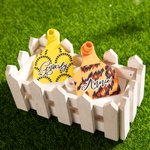 Custom Cattle Ear Tag Cow Calf Tags