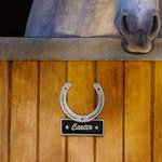 Placa personalizada en 3D con forma de herradura para la puerta del establo Regalo para granjeros amantes de los caballos