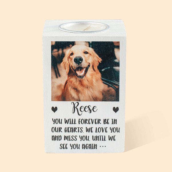 Gepersonaliseerde Hond Kat Foto Kaars Theelichthouder met Naam en Tekst Gedenkcadeau voor Huisdierliefhebbers