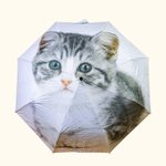 Printed Photo Umbrella