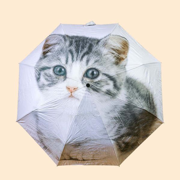 Paraguas con foto impresa