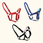 Coprinaso per cavallo personalizzato in tessuto morbido multicolore con testo ricamato accessori equestri regalo di compleanno per amanti dei cavalli