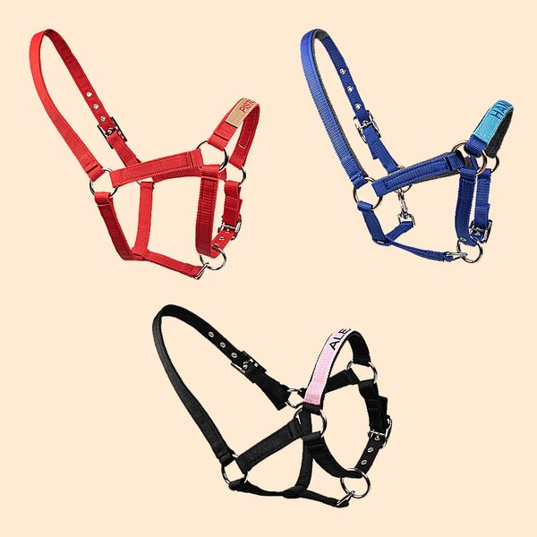 Coprinaso per cavallo personalizzato in tessuto morbido multicolore con testo ricamato accessori equestri regalo di compleanno per amanti dei cavalli