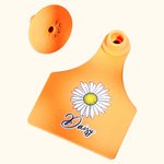 Custom Cattle Ear Tag Cow Calf Tags