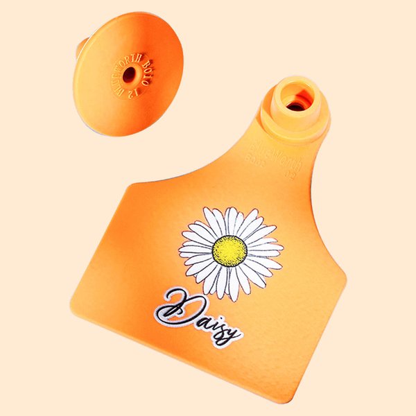 Cattle Ear Tag Cow Calf Tags