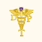 Medical Graduation Caduceus RN Nurse Pin with Birthstone