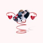 Personalisierter Flaschenhalter mit Herzförmigem Foto und Initialen aus Metall Weinglashalter Hochzeit Weihnacht Geschenk für Ehepaar