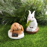 Personalisierte Handgefertigte Haustier Portrait Statue mit Schild und Sockel Hase Hund Katze Papagei Schildkröte Geschenk für Tierliebhaber