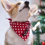 Personalized Embroidered Dog Bandana Pet Bandana Lattice Polka Dot
