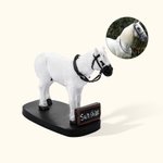 Personalized Handmade Pet Portrait Statue Photo Dog Cat Parrot Tortoise Hamster Horse Portrait Statue Pet Lover Gift Pet Memorial Gift