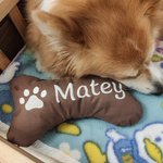 Personalized Embroidered Dog Toy with Name & Paw