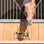 Personalisiertes lasergraviertes Namensschild aus Holz mit Pferd