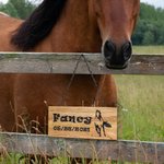 Personalisiertes lasergraviertes Namensschild aus Holz mit Pferd