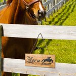 Personalisiertes lasergraviertes Namensschild aus Holz mit Pferd