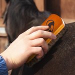 Personalized Laser Engraved Horsehair Brush with Icon Gift for Horse Lover