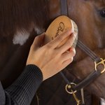 Personalized Laser Engraved Horsehair Brush with Icon Gift for Horse Lover