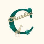 Personalised Wood Jungle Letter Name Door Plate