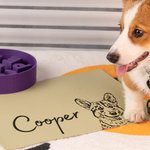 Custom Name Pet Mat Photo Dog Food Mat