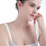 Collier Personnalisé avec Prénom Gravé sur Plaque Motifs d'Oreilles du Chien Cadeau Anniversaire pour Femme Amatrice de Chien