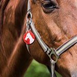 Personnalisé Étiquette d'identification Cheval Équestre