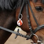 Personnalisé Étiquette d'identification Cheval Équestre