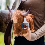 Personalized Highland Cow Plush Toy Furry Stuffed Animal Doll with Text Photo Ear Tag Birthday Gift for Kid Baby Highland Cow Lover