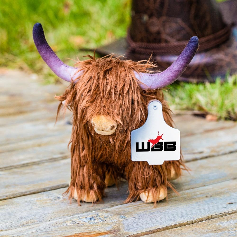 Highland Cow Plush Toy with Custom Ear Tag CALLIE