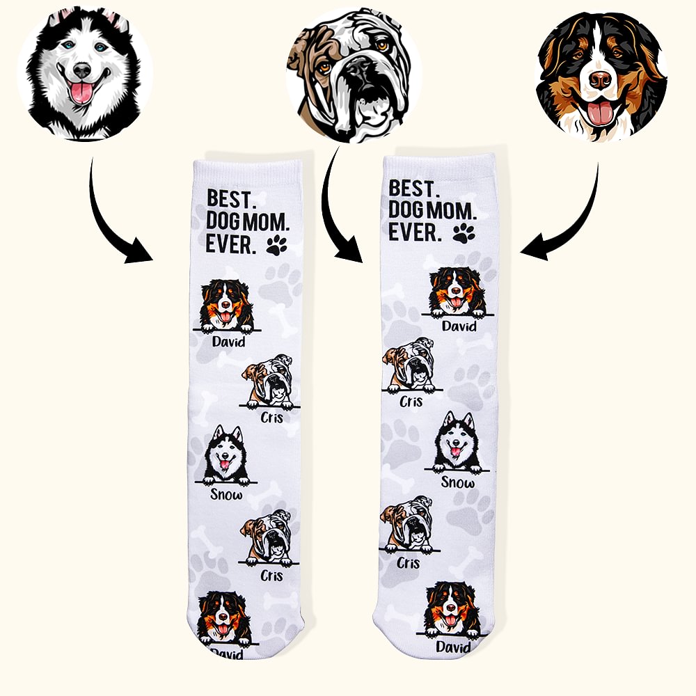 Chaussettes unisexes personnalisées multicolores avec photo de tête de chien