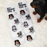 Personalized Multi-color Dog Head Photo Unisex Socks