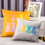 Housse de Coussin Motif Lapin Coeur Accessoire Personnalisé avec Nom Cadeau de Pâques pour Famille
