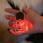 Gepersonaliseerde LED Acryl Hondenhalsband Licht Paw en Bone Vorm met Naam Honden Veiligheid Nachtwandelen Camping Cadeau voor Huisdierliefhebbers