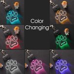 Personalized Paw and Bone Shaped LED Acrylic Dog Collar Tag with Name 7 Light Colors Dogs Safety Night Walking Camping Accessories for Pet Lovers